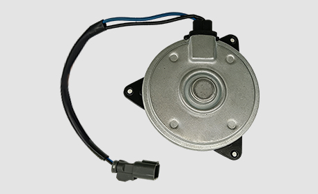 Single Motor Single Motor